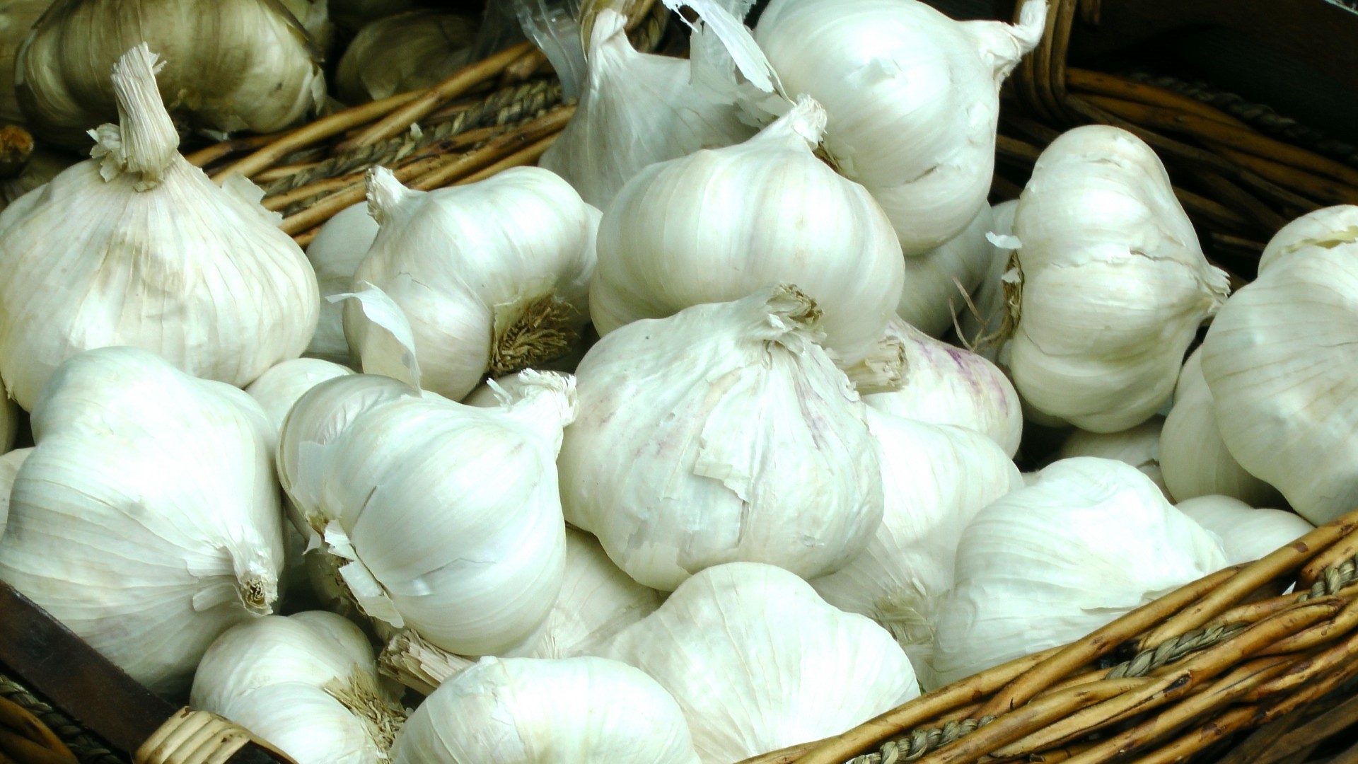 preparaty z czosnkiem